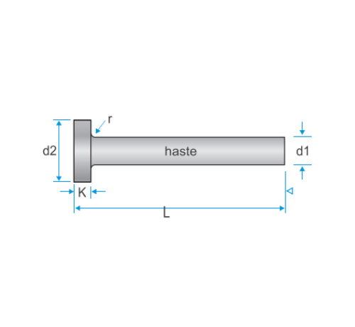 EXTRATOR TIPO A – NITRETADO